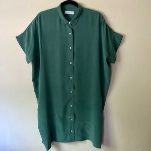 Everlane Silk Dress Size 10